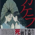 湊かなえ『カケラ』あらすじと感想!美醜とは正解のないパズルのピースである