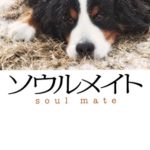 馳星周『ソウルメイト』あらすじと感想!犬という家族への愛情溢れた小説