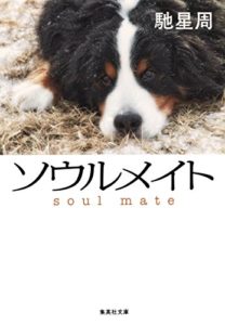 馳星周『ソウルメイト』あらすじと感想!犬という家族への愛情溢れた小説