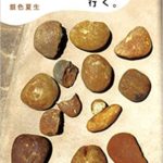 【書評】銀色夏生『つれづれノート38(最新) 1日1個、川原にパンを拾いに行く。』あらすじと感想