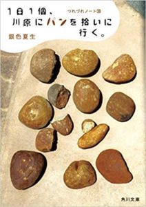 【書評】銀色夏生『つれづれノート38(最新) 1日1個、川原にパンを拾いに行く。』あらすじと感想